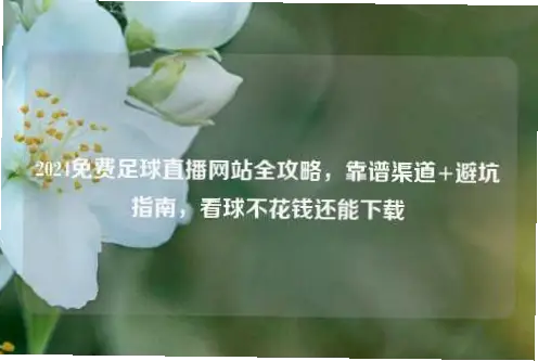 免费看足球的靠谱渠道推荐